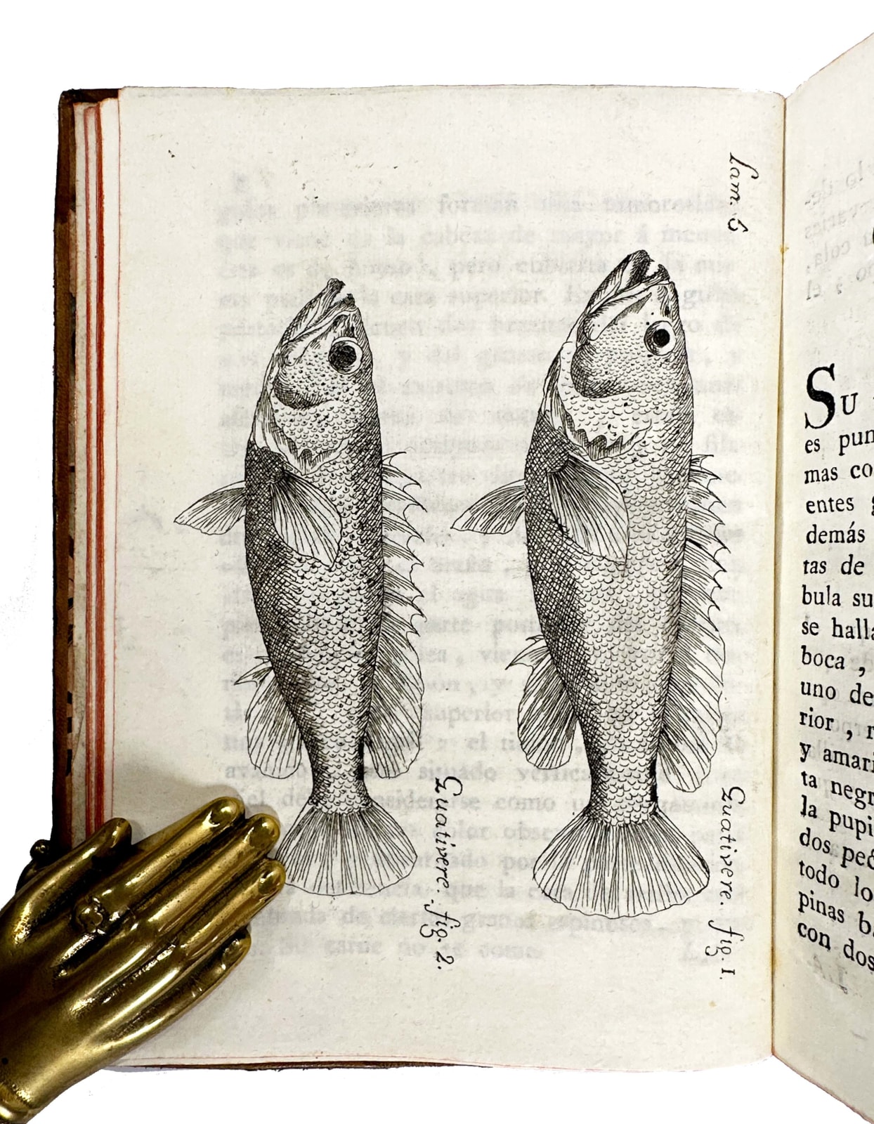 [Cuba; natural history] Antonio Parra, Descripción de diferentes piezas de Historia Natural de las mas del ramo marítimo representadas en setenta y cinco láminas, 1787. Habana. Imprenta de la Capitania General.