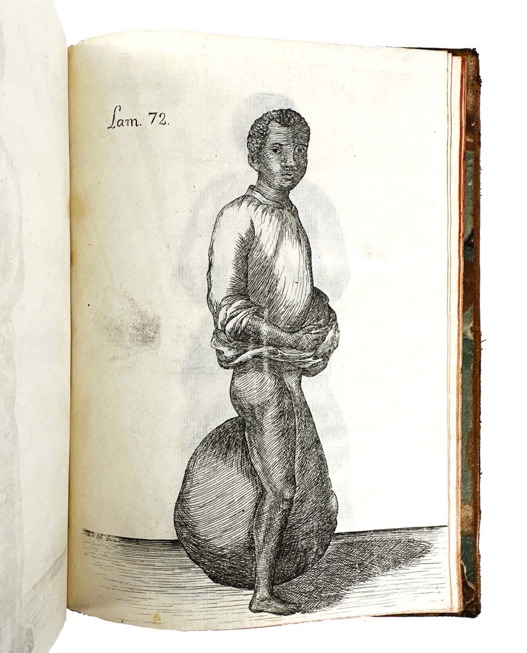 [Cuba; natural history] Antonio Parra, Descripción de diferentes piezas de Historia Natural de las mas del ramo marítimo representadas en setenta y cinco láminas, 1787. Habana. Imprenta de la Capitania General.