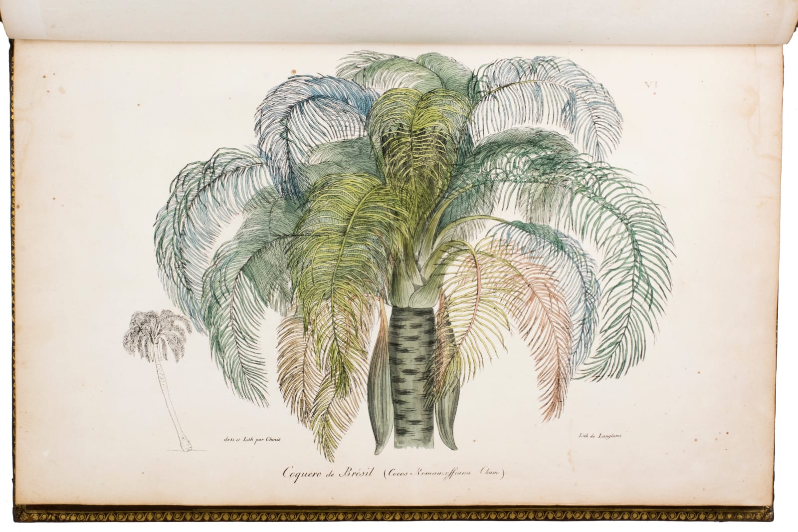 Choris, Louis, Voyage pittoresque autour du monde, avec des portraits de sauvages d'Amerique, d'Asia, d'Afrique et des iles du Grand Ocean; des paysages, des vues maritimes, et plusieurs objets d'histoire naturelle, 1820-1822. Paris. Firmin Didot.