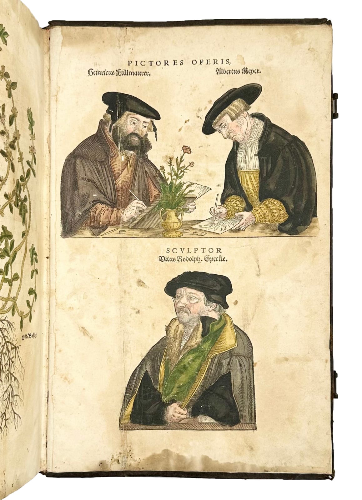 Fuchs, Leonard, De Historia Stirpium, 1542. Basel. Officina Isingriniana.