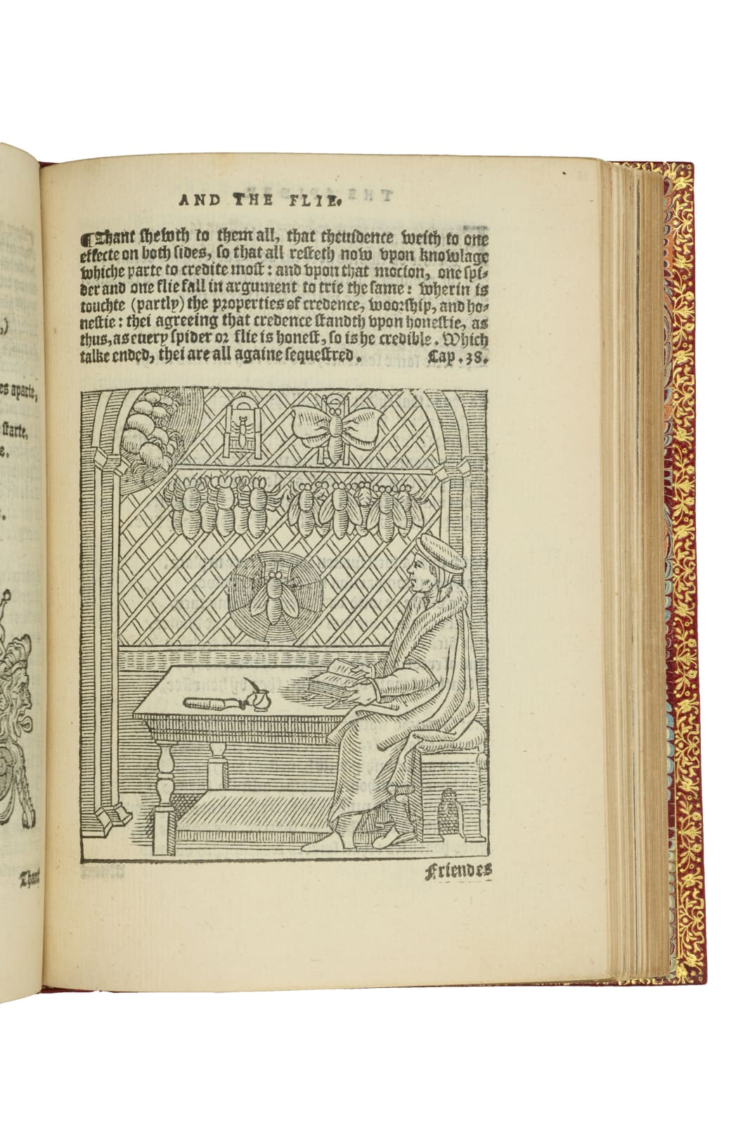 Heywood, John (1497? - 1578?), The Spider and the Flie. A parable of the Spider and the Flie, 1556. London. Flete Streete by Thomas Povvell.