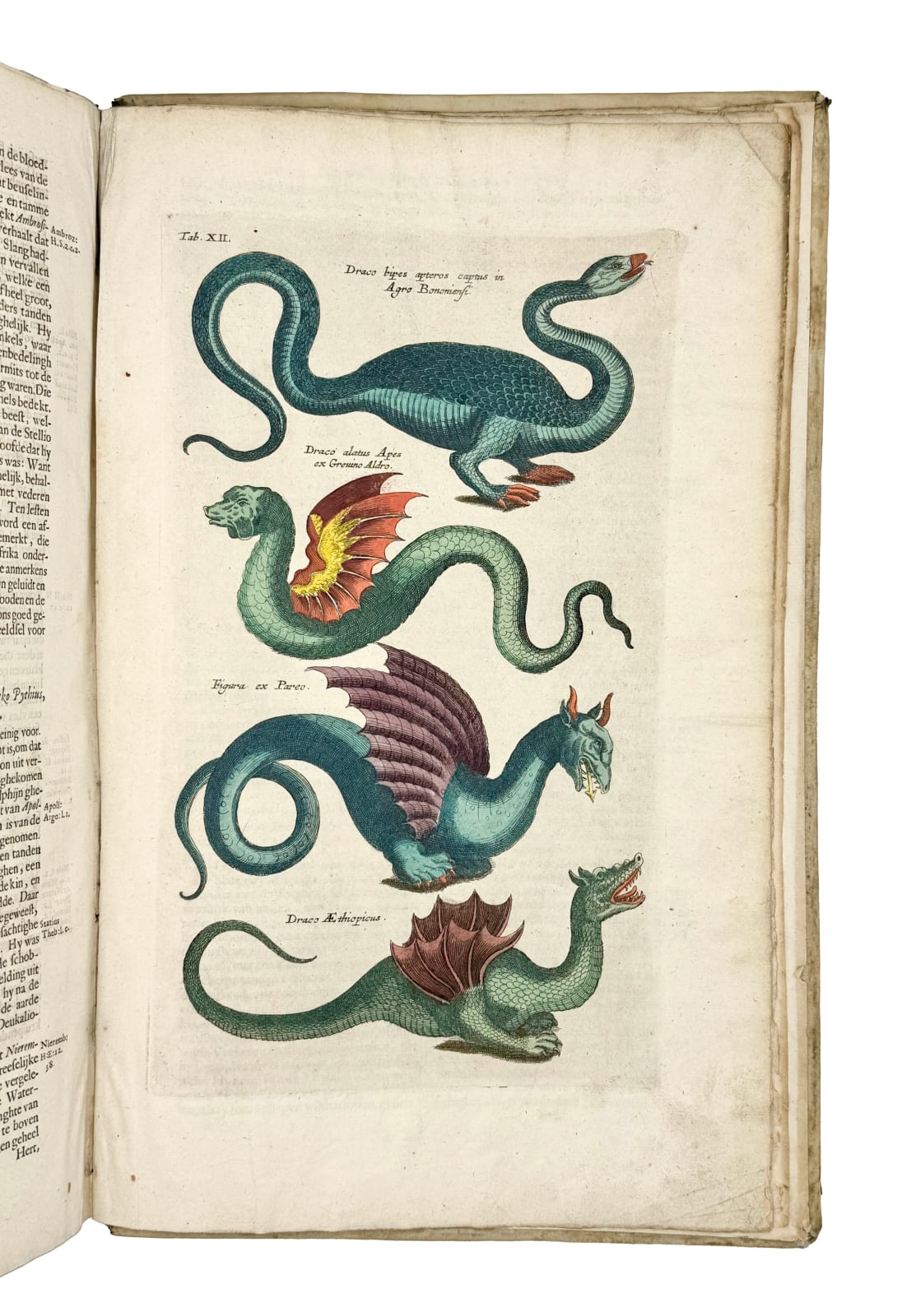 Jonston, Johannes (Matthias GRAUS, translator), Naeukeurige beschryving van de natuur der vier-voetige dieren, vissen en bloedlooze water-dieren, vogelen, kronkel-dieren, slangen en draken, Amsterdam, Jan Jacobsz. Schipper, 1660.