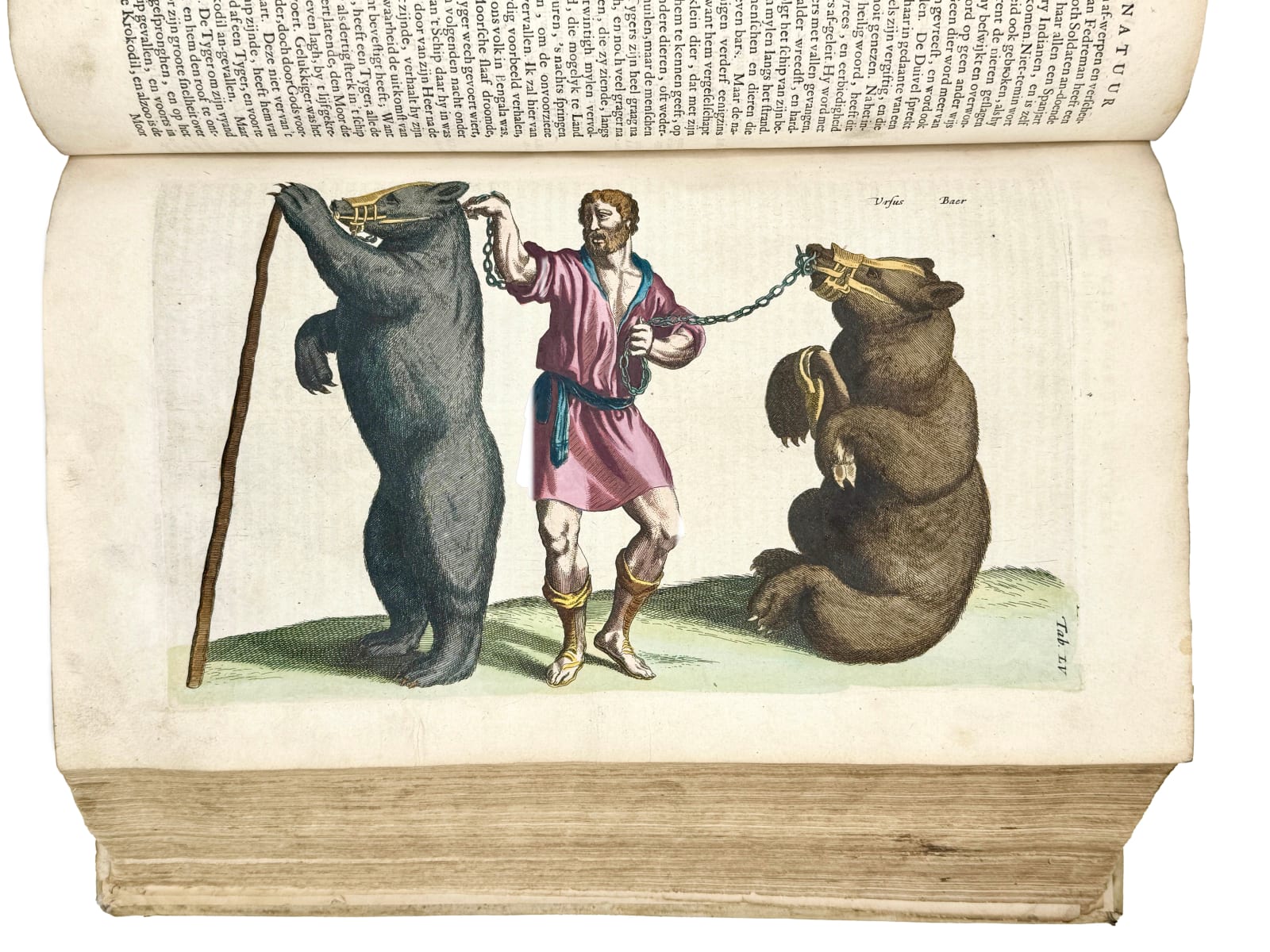 Jonston, Johannes (Matthias GRAUS, translator), Naeukeurige beschryving van de natuur der vier-voetige dieren, vissen en bloedlooze water-dieren, vogelen, kronkel-dieren, slangen en draken, Amsterdam, Jan Jacobsz. Schipper, 1660.