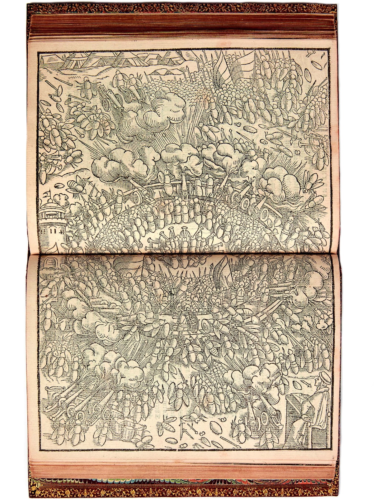 Heywood, John (1497? - 1578?), The Spider and the Flie. A parable of the Spider and the Flie, 1556. London. Flete Streete by Thomas Povvell.