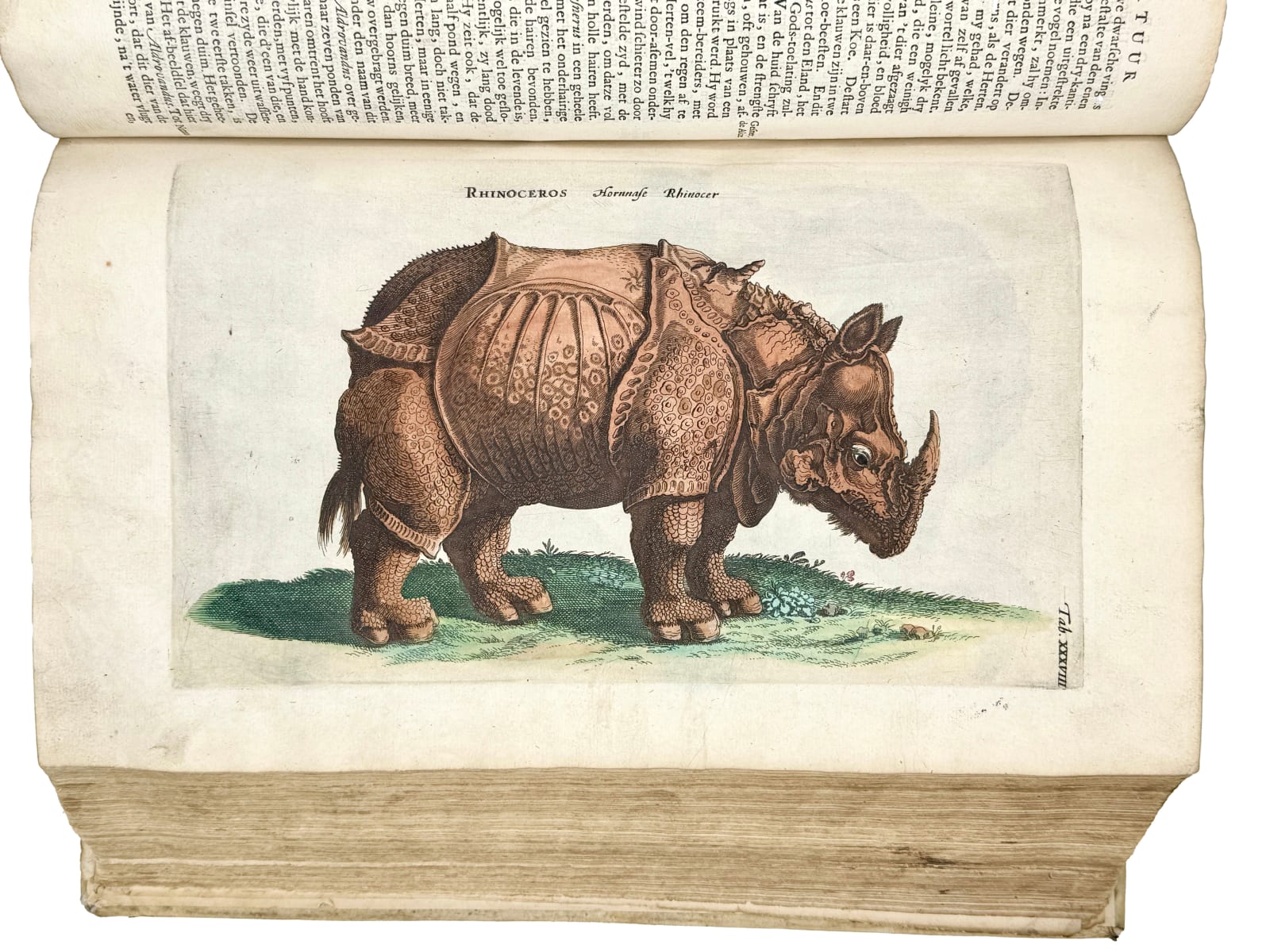 Jonston, Johannes (Matthias GRAUS, translator), Naeukeurige beschryving van de natuur der vier-voetige dieren, vissen en bloedlooze water-dieren, vogelen, kronkel-dieren, slangen en draken, Amsterdam, Jan Jacobsz. Schipper, 1660.
