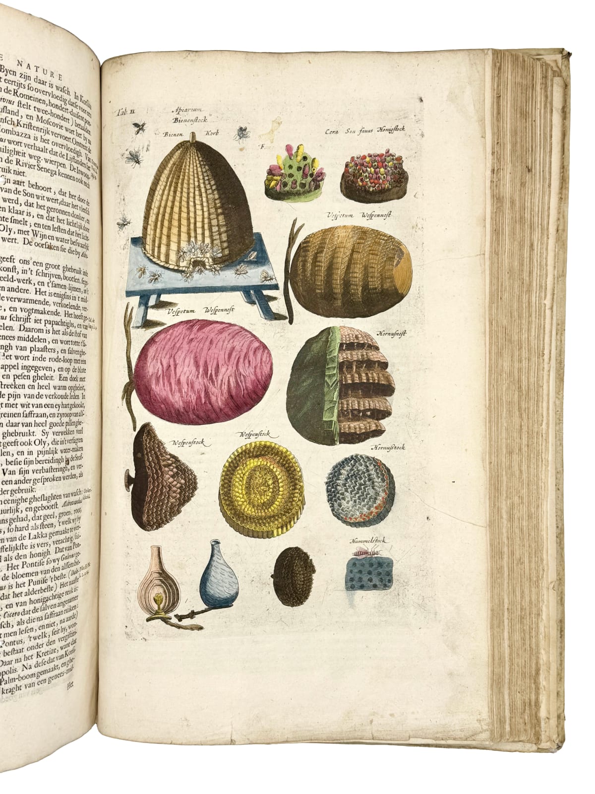 Jonston, Johannes (Matthias GRAUS, translator), Naeukeurige beschryving van de natuur der vier-voetige dieren, vissen en bloedlooze water-dieren, vogelen, kronkel-dieren, slangen en draken, Amsterdam, Jan Jacobsz. Schipper, 1660.