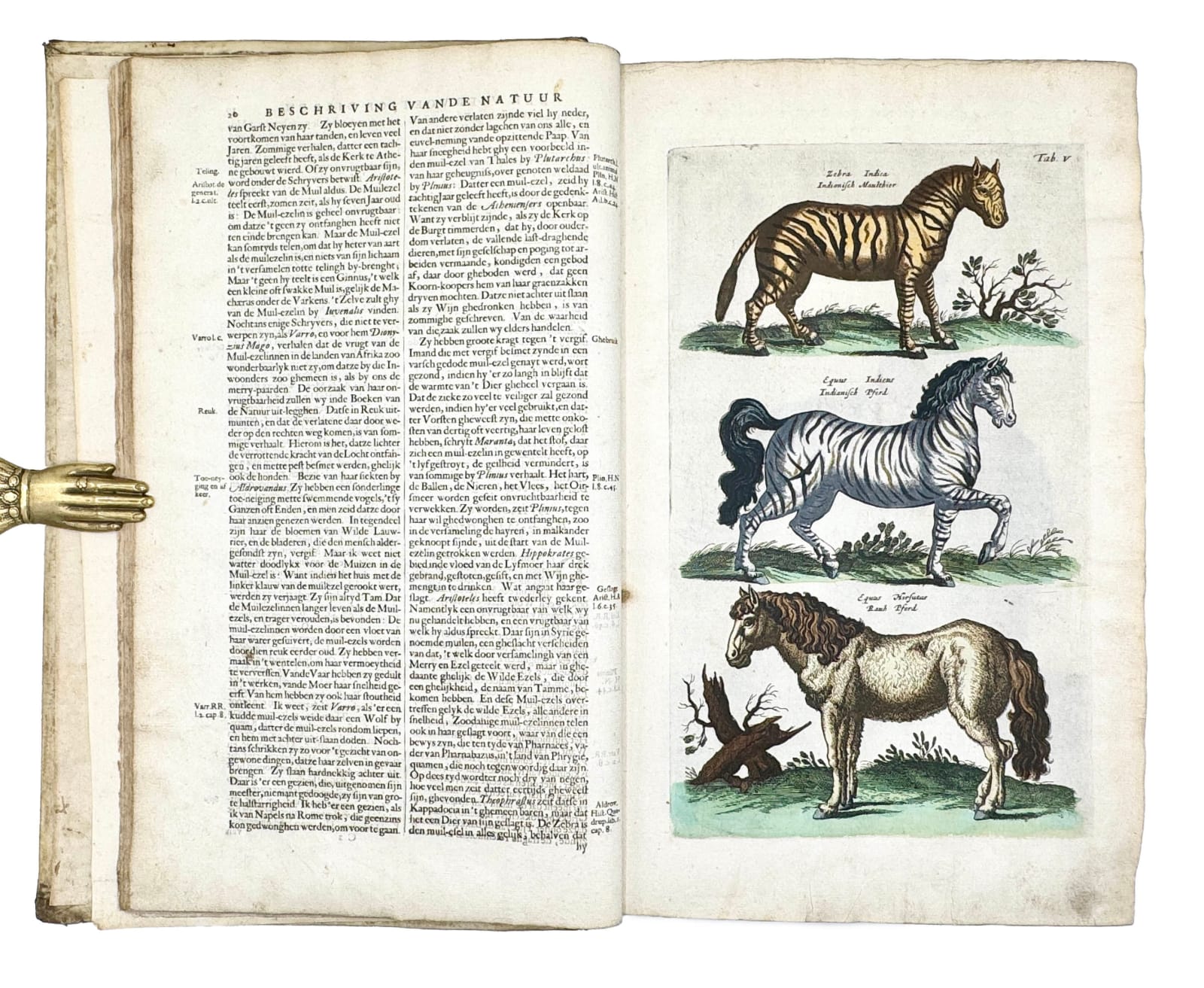 Jonston, Johannes (Matthias GRAUS, translator), Naeukeurige beschryving van de natuur der vier-voetige dieren, vissen en bloedlooze water-dieren, vogelen, kronkel-dieren, slangen en draken, Amsterdam, Jan Jacobsz. Schipper, 1660.
