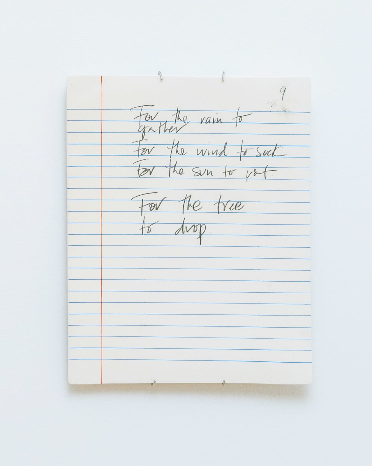 Priscilla Monge, Strange fruit (For the rain to gather...), 2023