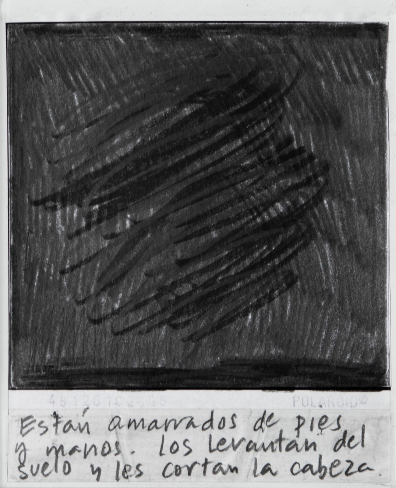 Priscilla Monge, Los malos paisajes (Están amarrados de pies....), 2021
