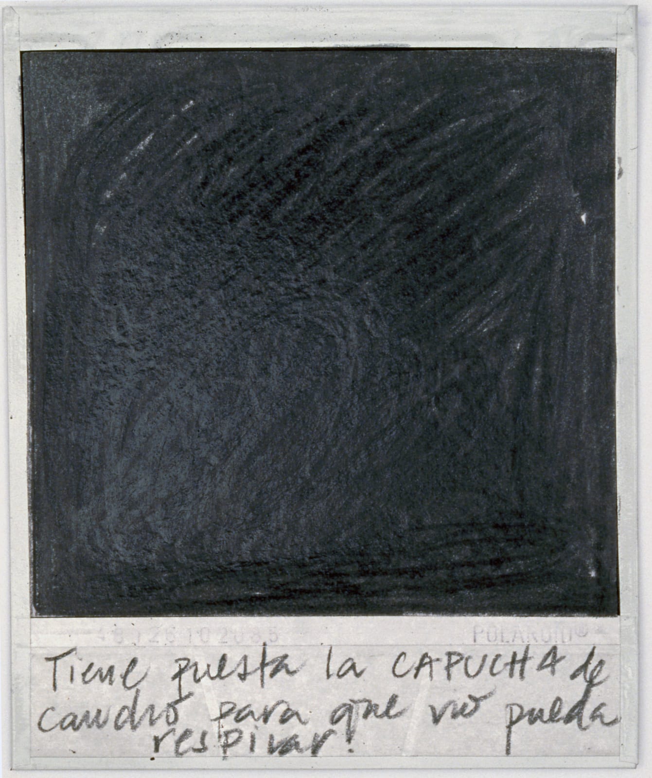 Priscilla Monge, Los malos paisajes (Tiene puesta la capucha....), 2021