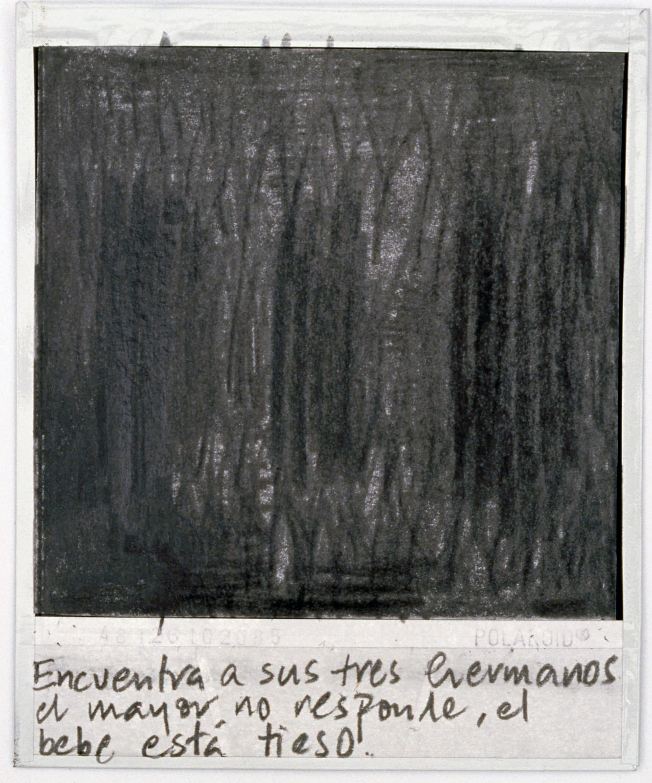 Priscilla Monge, Los malos paisajes (Encuentra a sus tres hermanos....), 2021