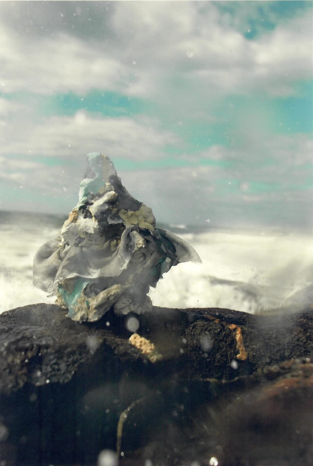 Jennifer Wynne Reeves, Untitled