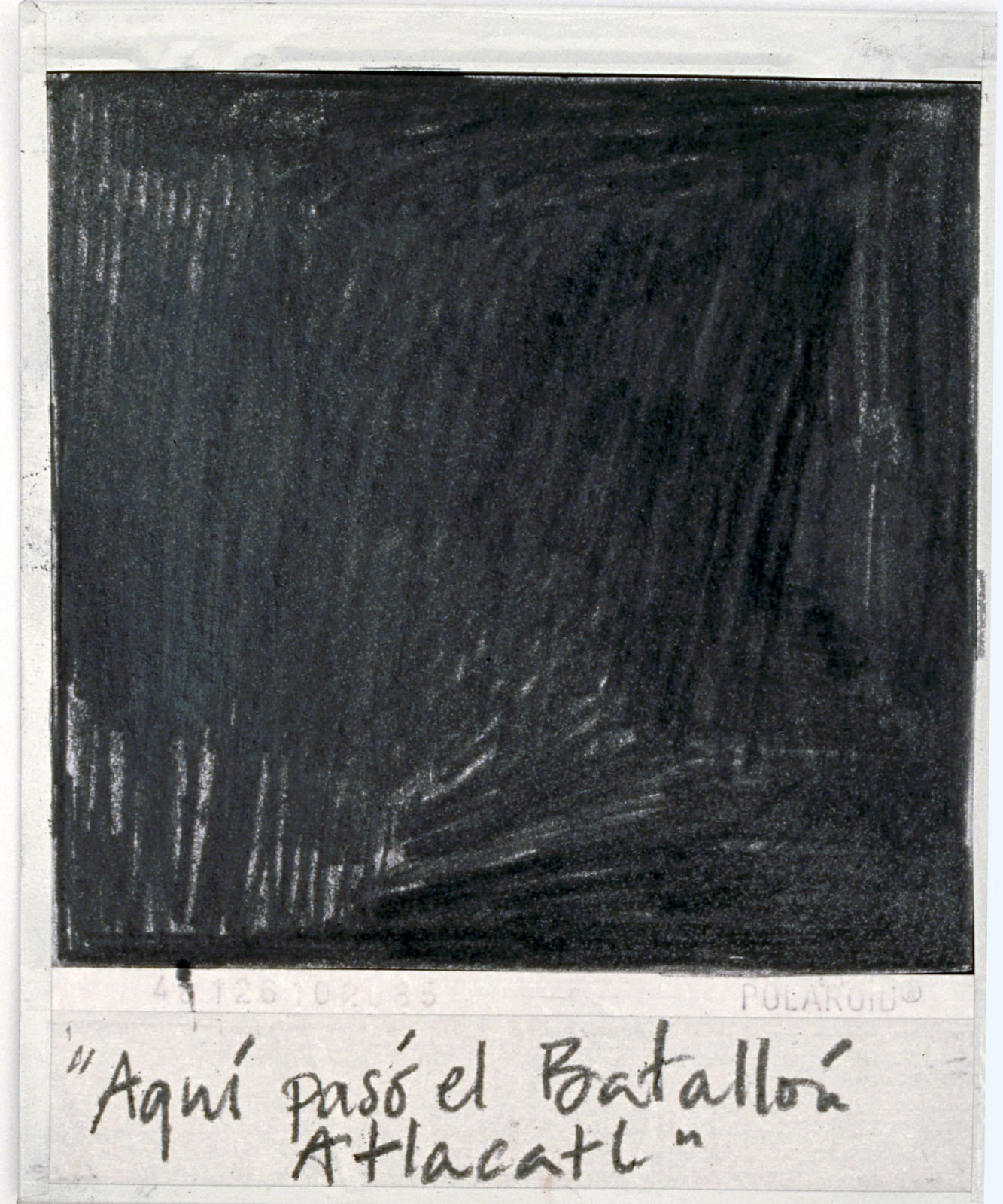Priscilla Monge, Los malos paisajes (Aquí pasó el Batallón...), 2021