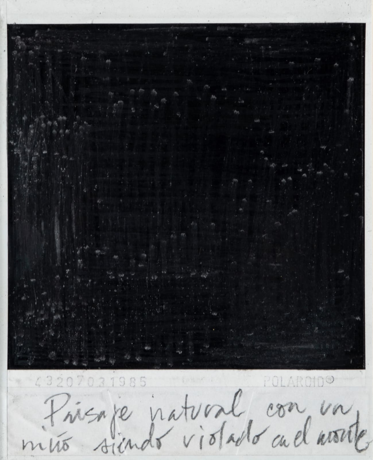Priscilla Monge, Los malos paisajes (Paisaje natural...), 2021