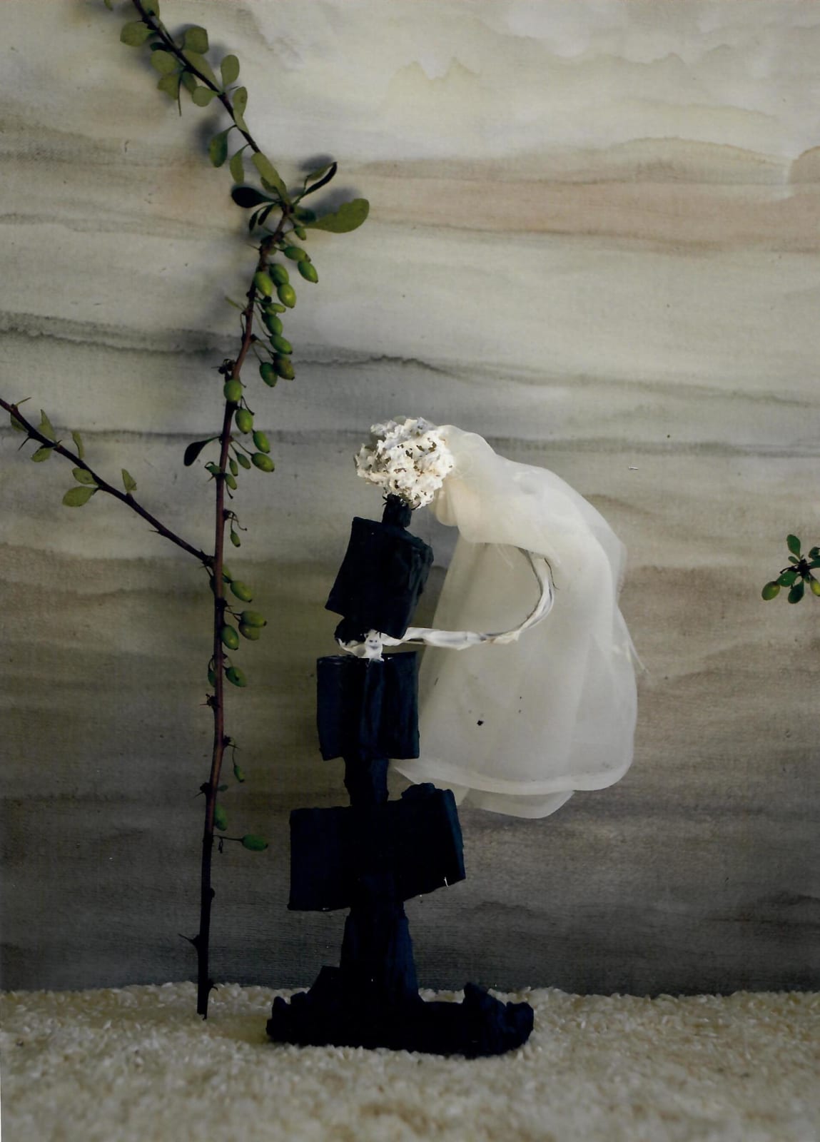 Jennifer Wynne Reeves, Untitled