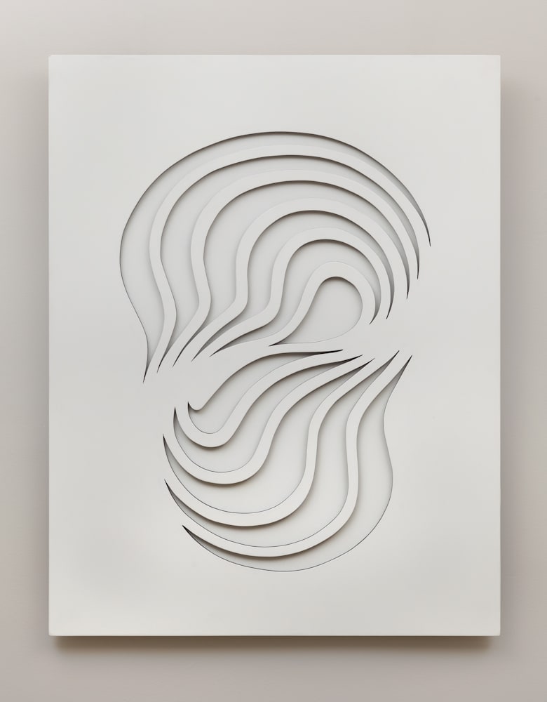 Beto De Volder, Untitled , 2007
