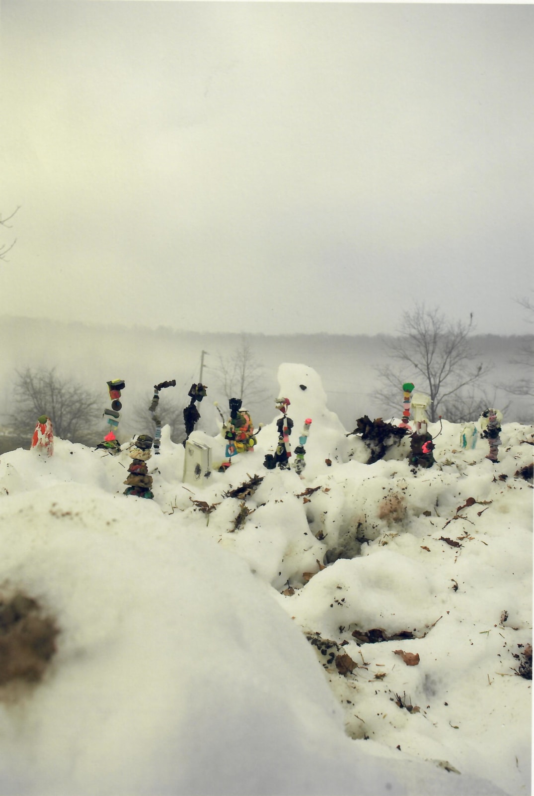 Jennifer Wynne Reeves, Untitled