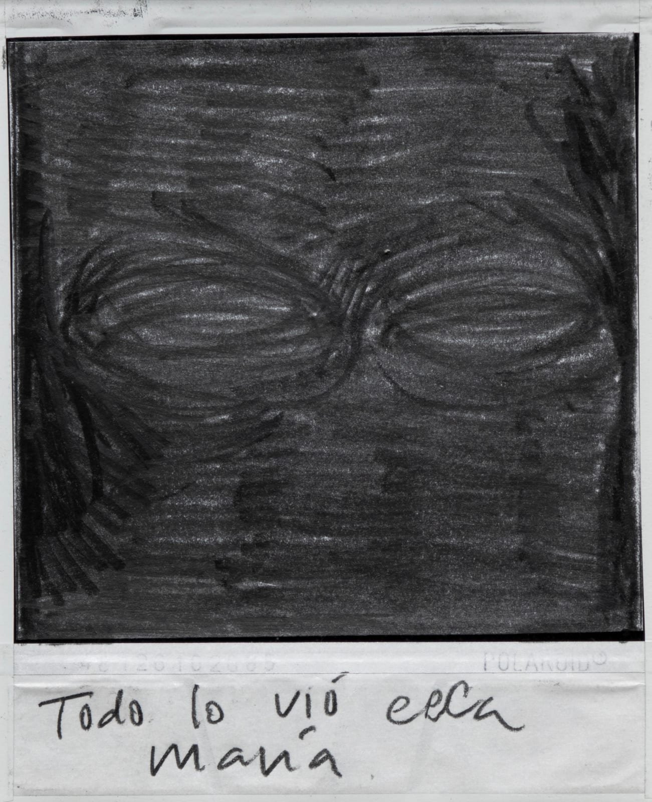Priscilla Monge, Los malos paisajes (Todo lo vio....), 2021