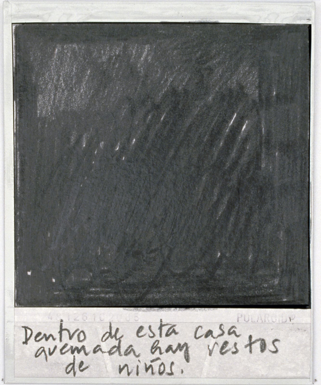 Priscilla Monge, Los malos paisajes (Dentro de esta casa...), 2021