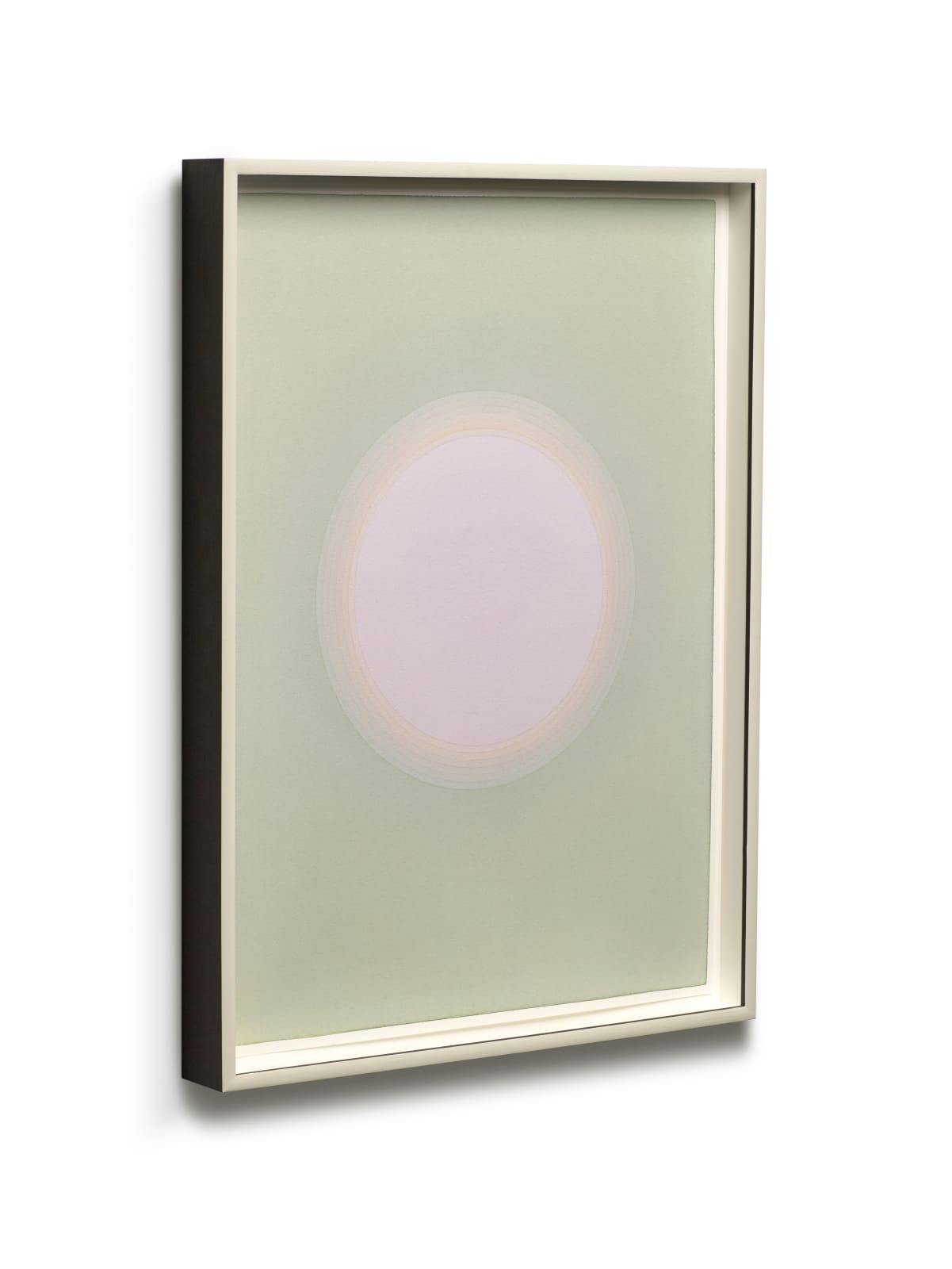 ÓLAFUR ELÍASSON, Solar short-term memory (6 seconds), 2020