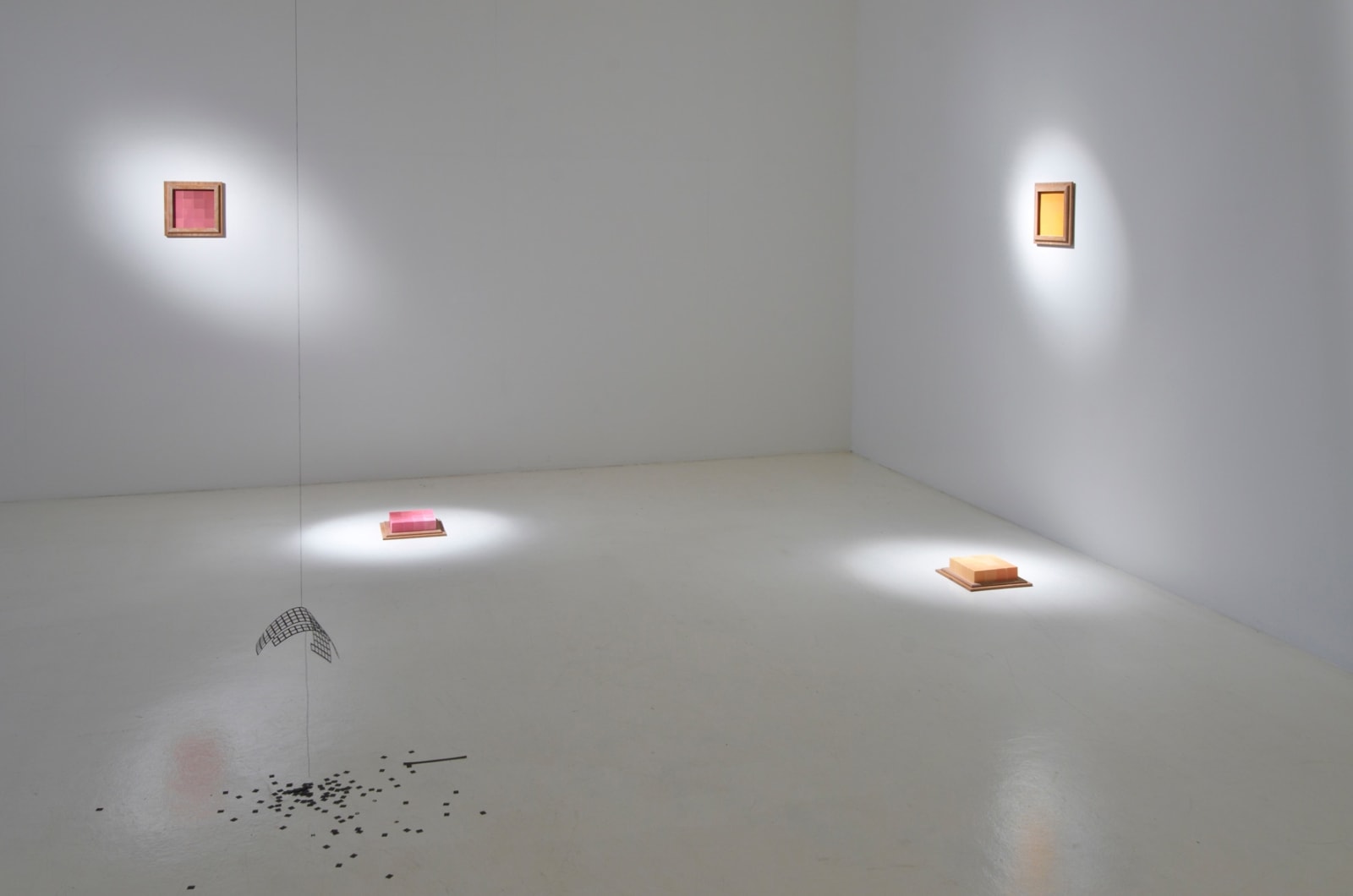 HILDIGUNNUR BIRGISDÓTTIR, Nebula, 2011