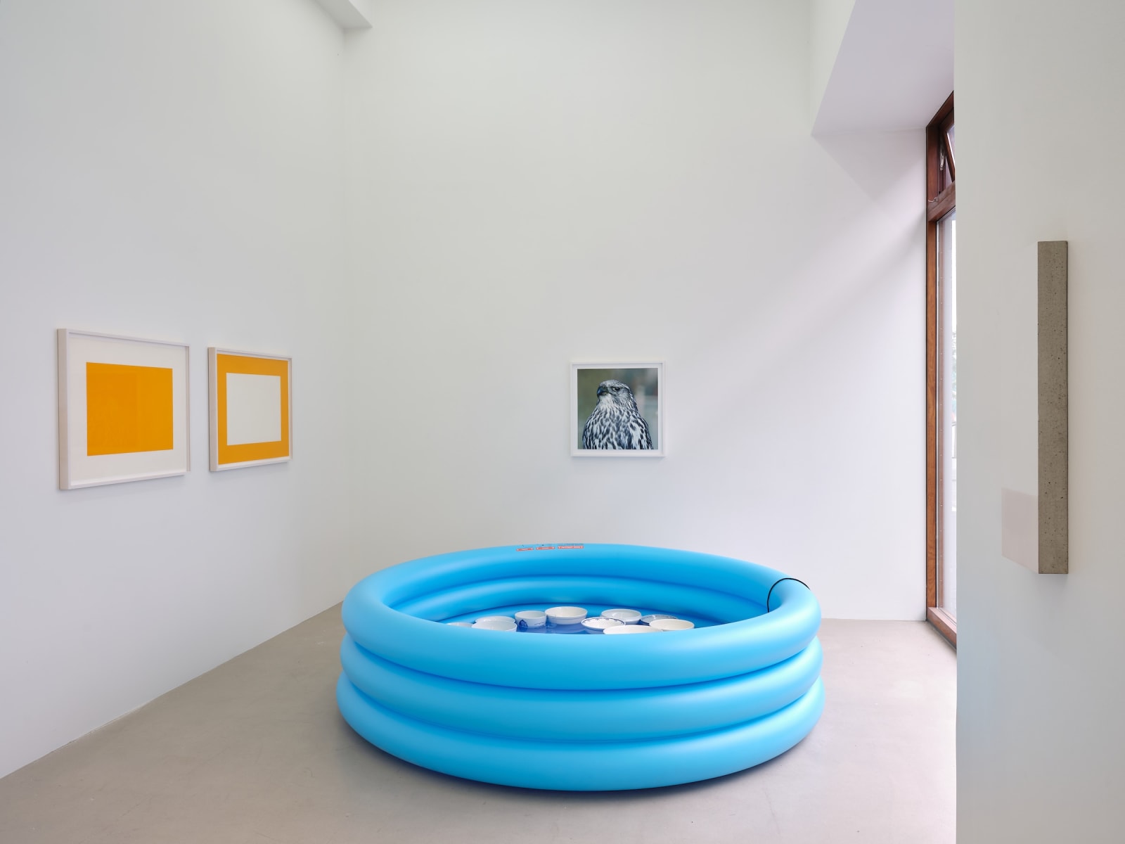 Céleste Boursier-Mougenot, untitled (series #2):1, 1999