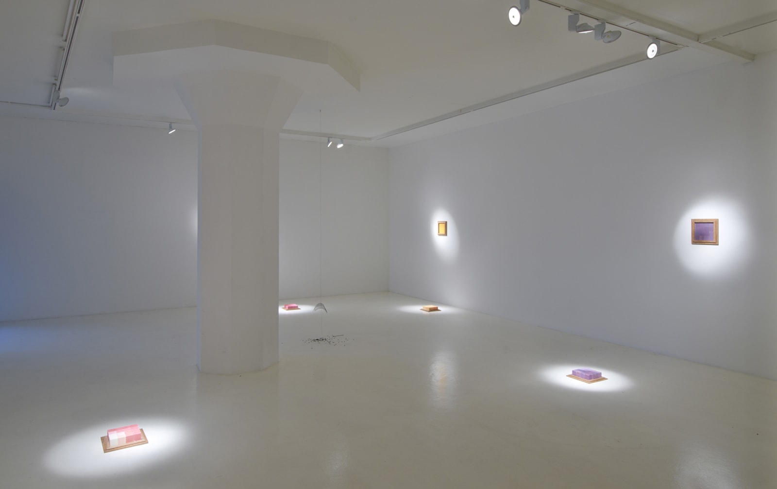 HILDIGUNNUR BIRGISDÓTTIR, Nebula, 2011