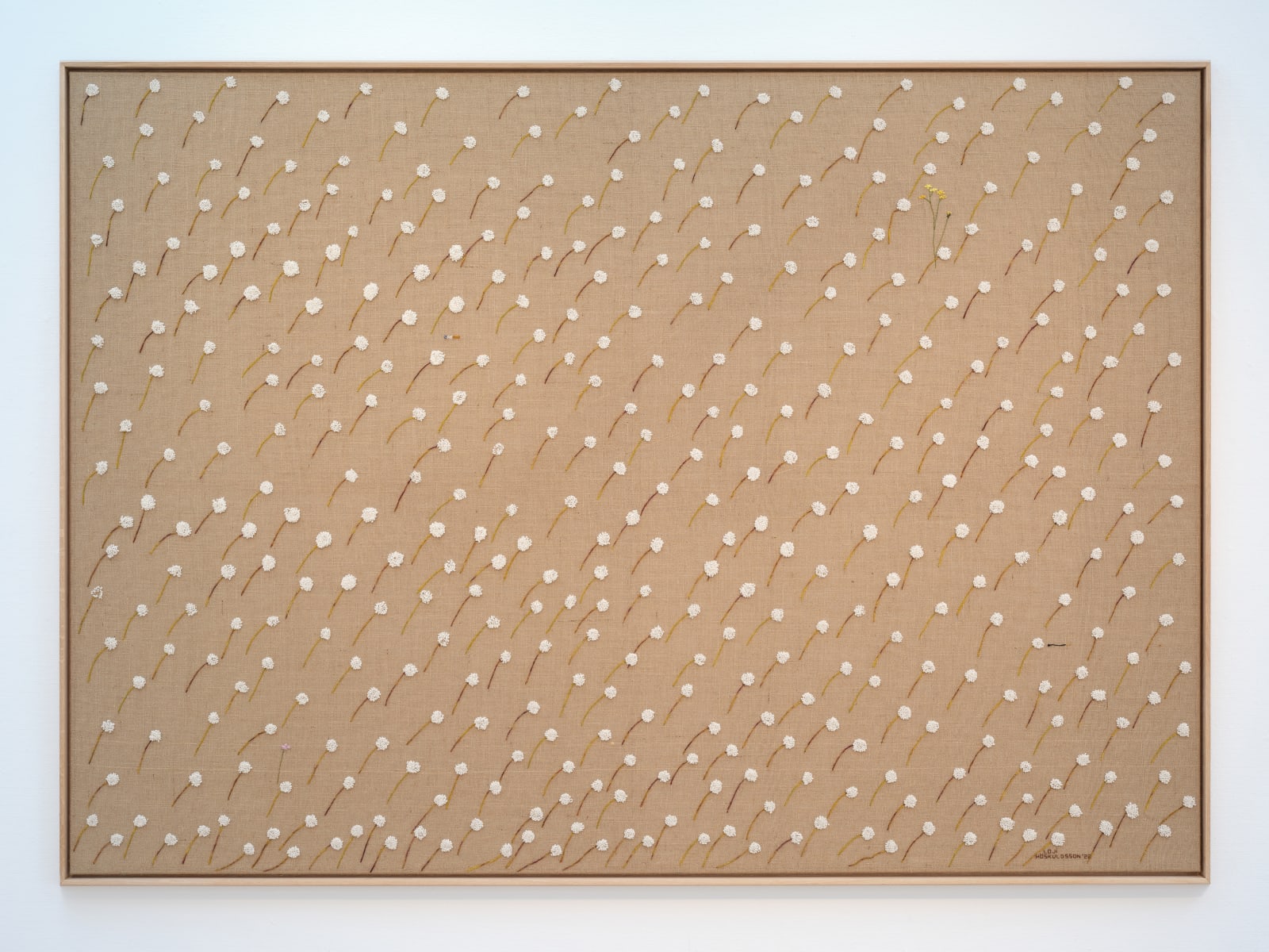 LOJI HÖSKULDSSON, Cotton Grass in a Gray Area, 2022