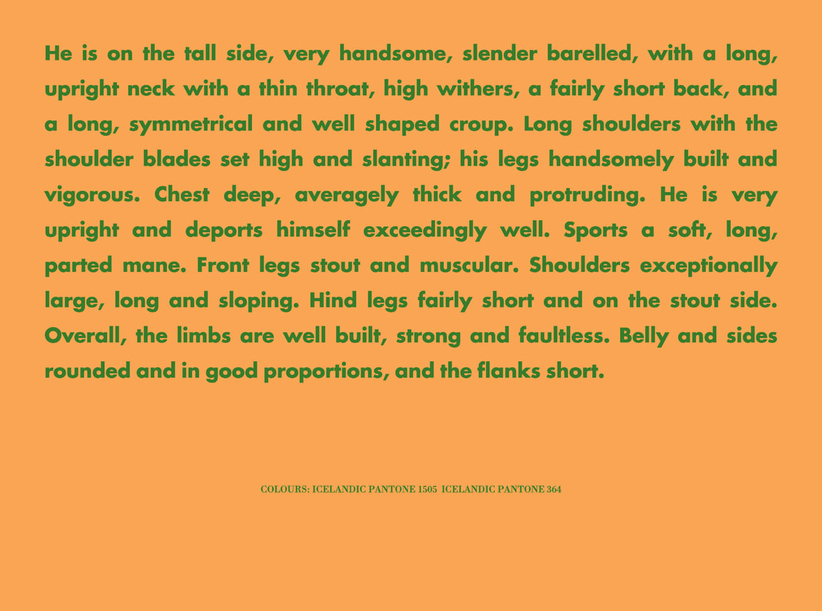 BIRGIR ANDRÉSSON, Horse Portrait (He is on the tall....), 2005