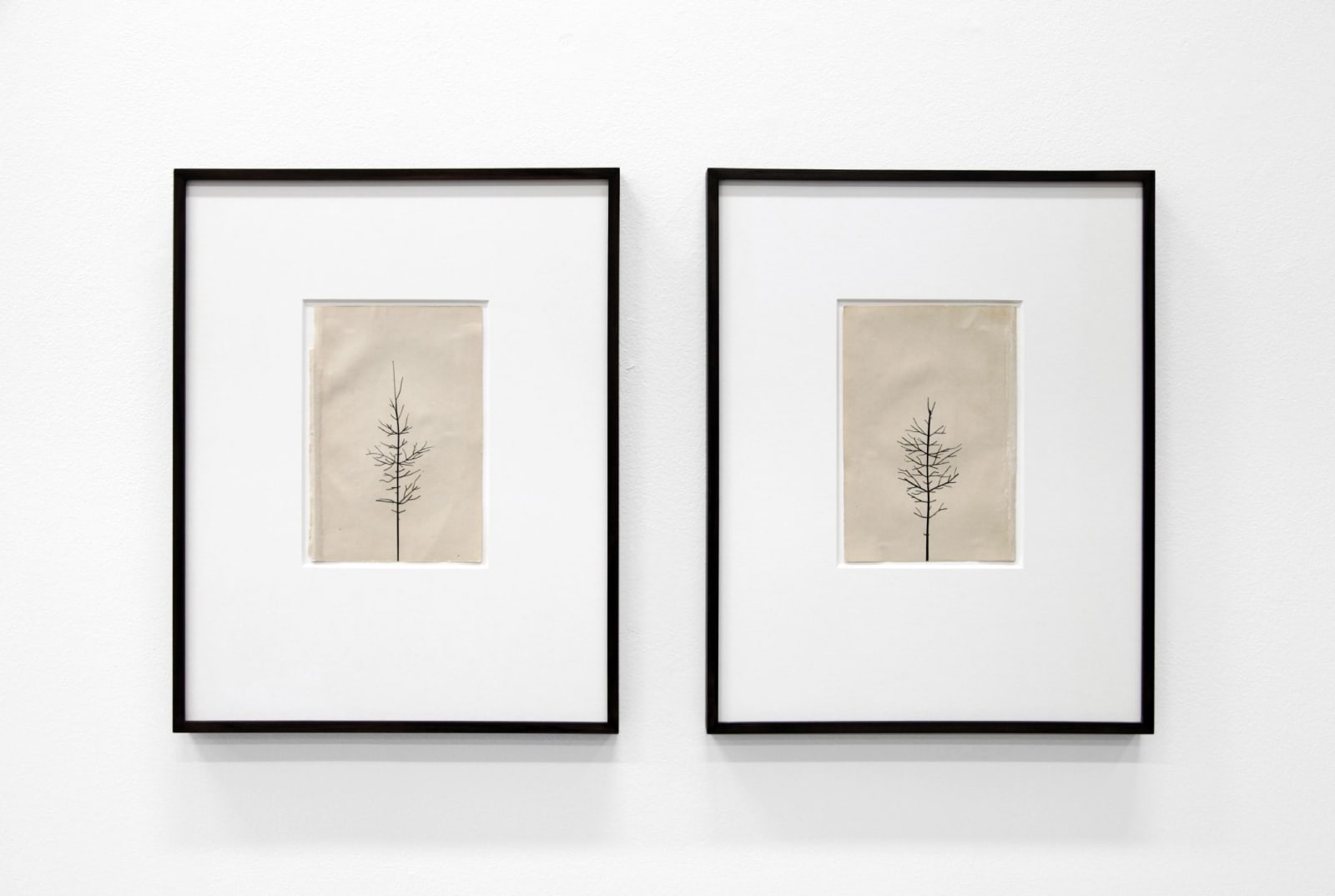 PETER LIVERSIDGE, Winter Drawing (Summer Version), 12 vs. 13 Winter Drawing (Summer Version), 13 vs. 13, 2011