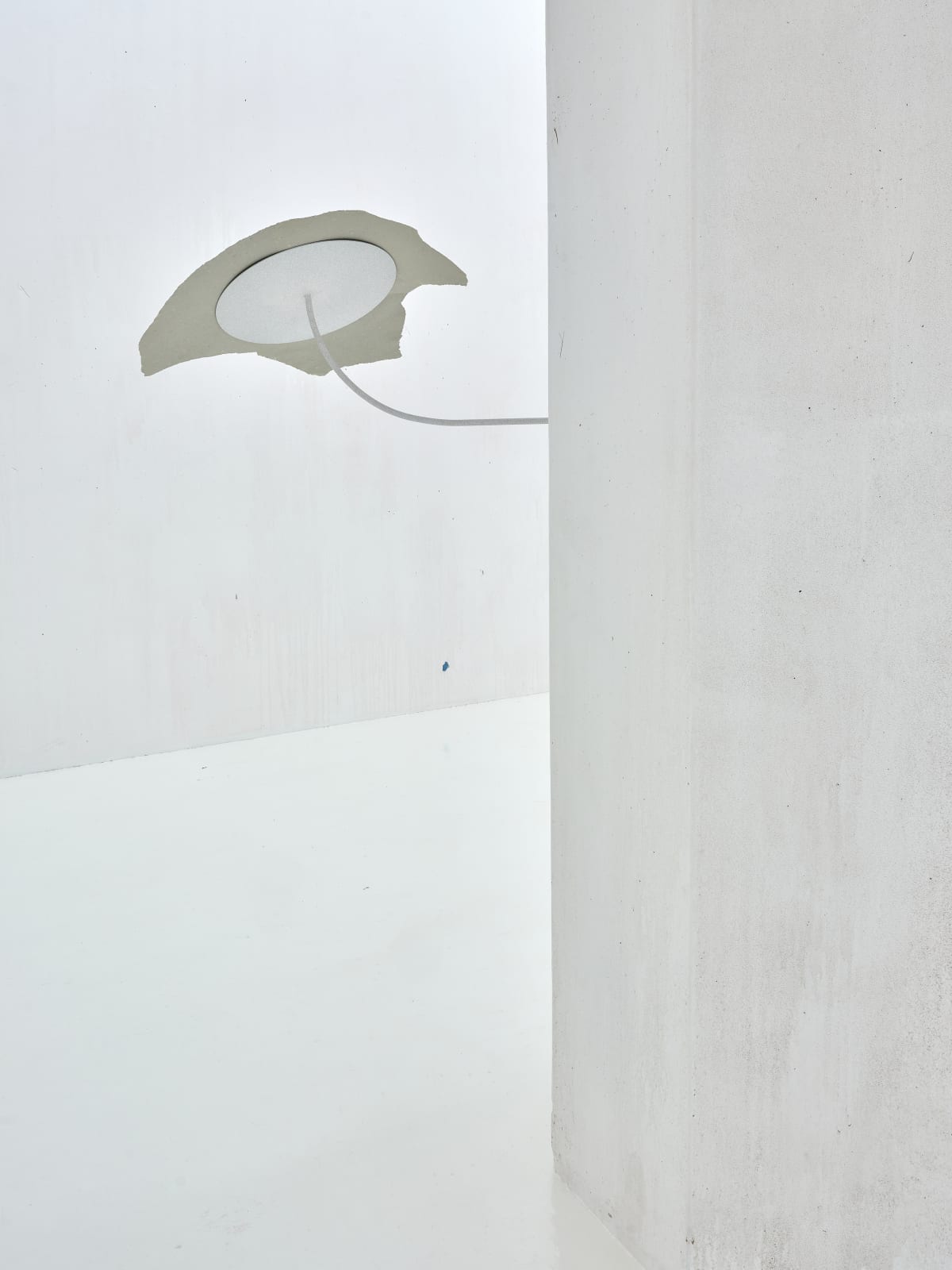 HILDIGUNNUR BIRGISDÓTTIR, 1:48 (confetto), 2021