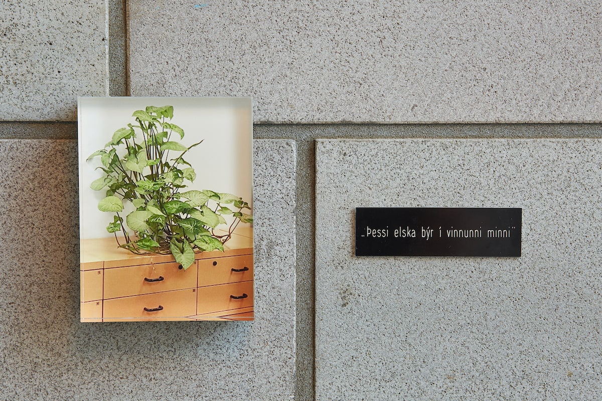 HILDIGUNNUR BIRGISDÓTTIR, Darling, 2017