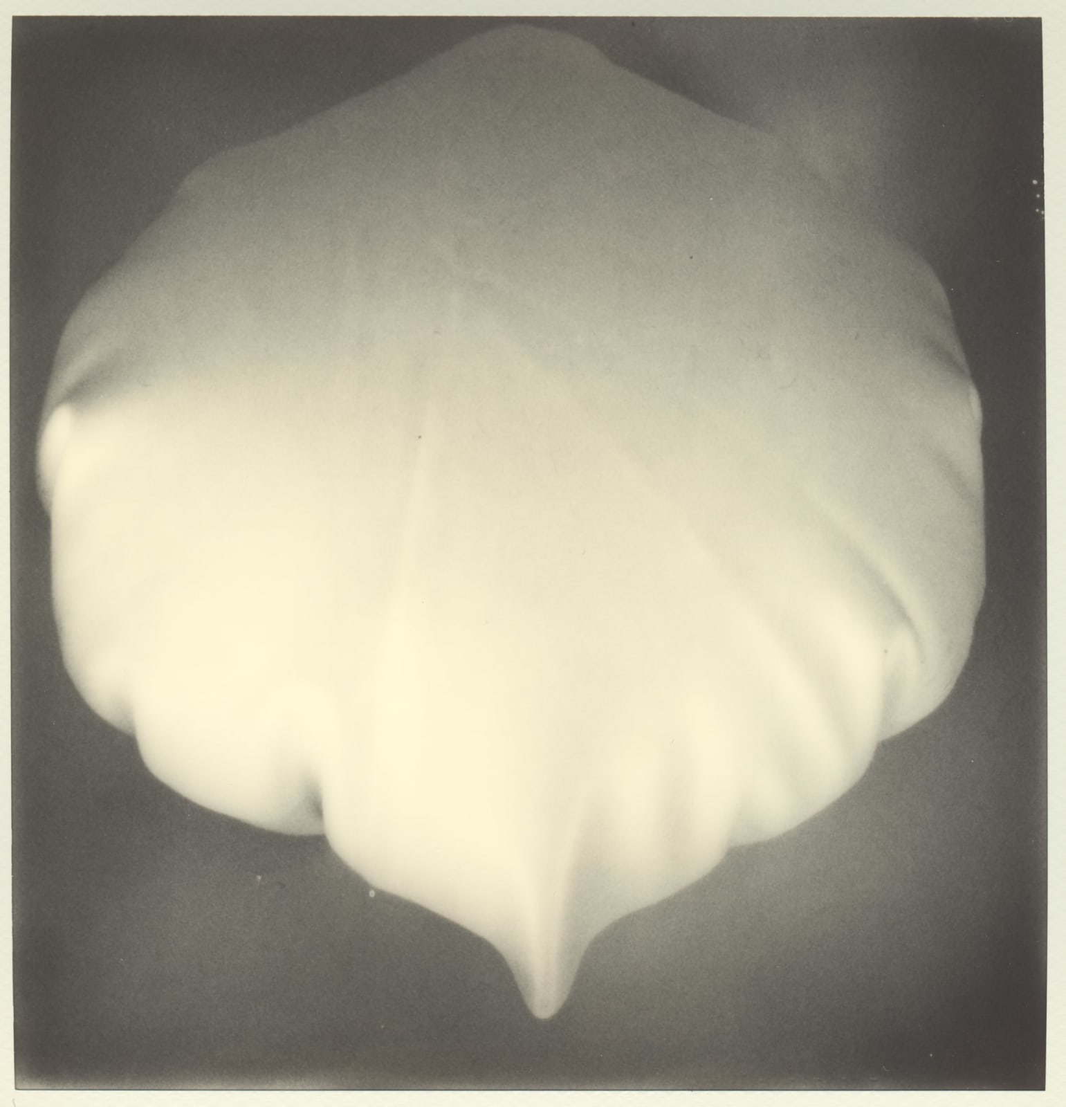 B. INGRID OLSON, I was then a we, can it be that I am the subject, an actor, common plural fixed for a camera to which these rooms are now fit Ferocious battle with repetition, of others, the crumbs and dust, gathering ashes, adhesion of eggs, finally things in place for a moment Senses Visibly, but maybe half-life represented by the vast room means sitting in it not being in it because who could remove such a room from self From each end ends, plot, second language, treads herself an extenuating time luxuriating time infascinating time they watch her tread on, full forward and going nowhere very remarkable Do we need to open and shut the window when it is transparent from the start Or a special organ for what trickles through the hourglass?, 2021-2023