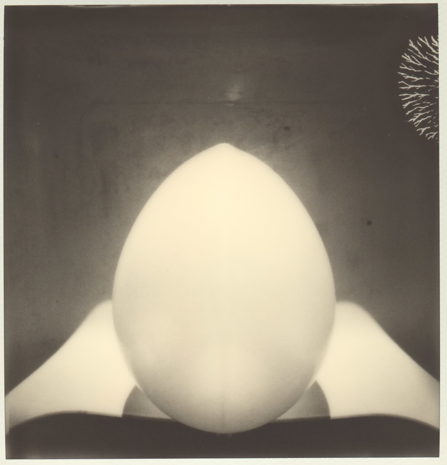 B. INGRID OLSON, I was then a we, can it be that I am the subject, an actor, common plural fixed for a camera to which these rooms are now fit Ferocious battle with repetition, of others, the crumbs and dust, gathering ashes, adhesion of eggs, finally things in place for a moment Senses Visibly, but maybe half-life represented by the vast room means sitting in it not being in it because who could remove such a room from self From each end ends, plot, second language, treads herself an extenuating time luxuriating time infascinating time they watch her tread on, full forward and going nowhere very remarkable Do we need to open and shut the window when it is transparent from the start Or a special organ for what trickles through the hourglass?, 2021-2023