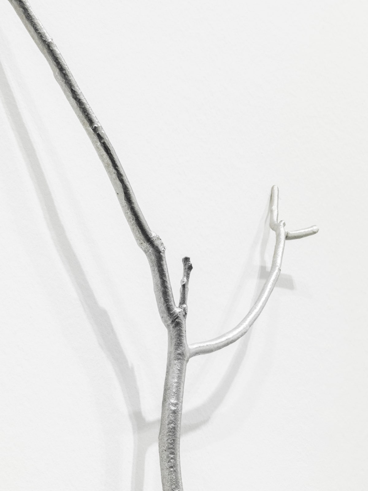 ALICJA KWADE, Parallelwelt (Ast/AntiAst), 2018