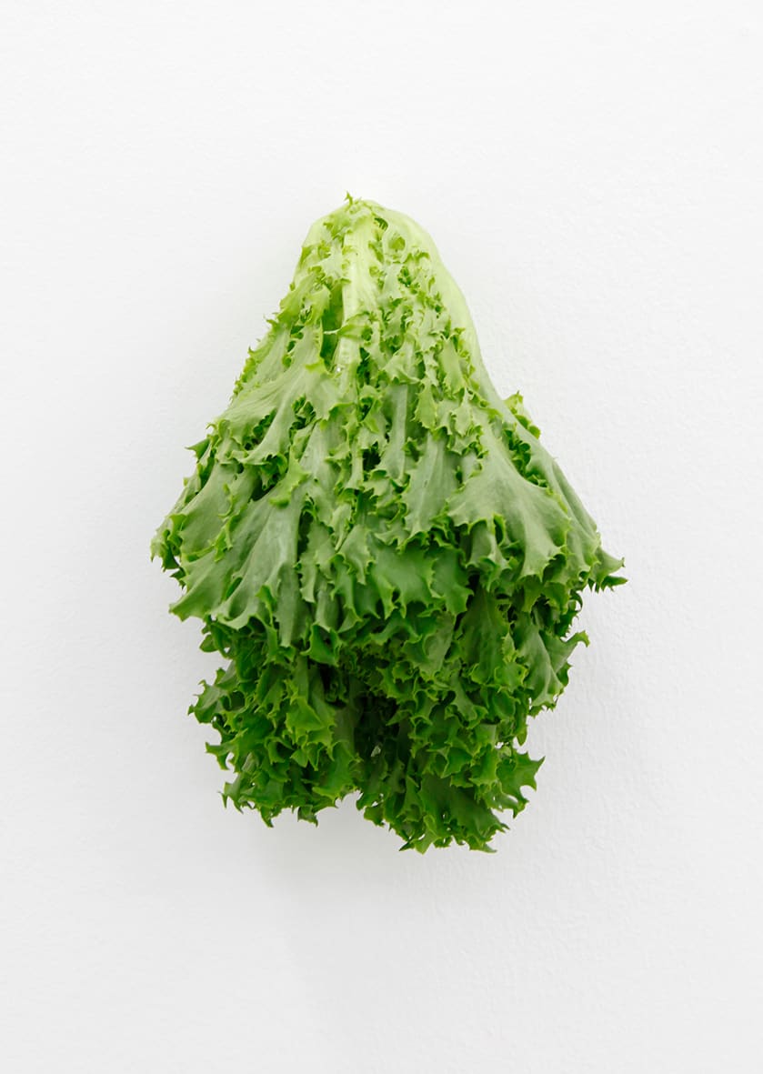 KARIN SANDER, Lettuce (Kitchen Pieces), 2011 / 2016