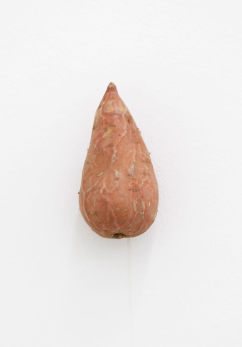 KARIN SANDER, (Kitchen Pieces), 2011 / 2016