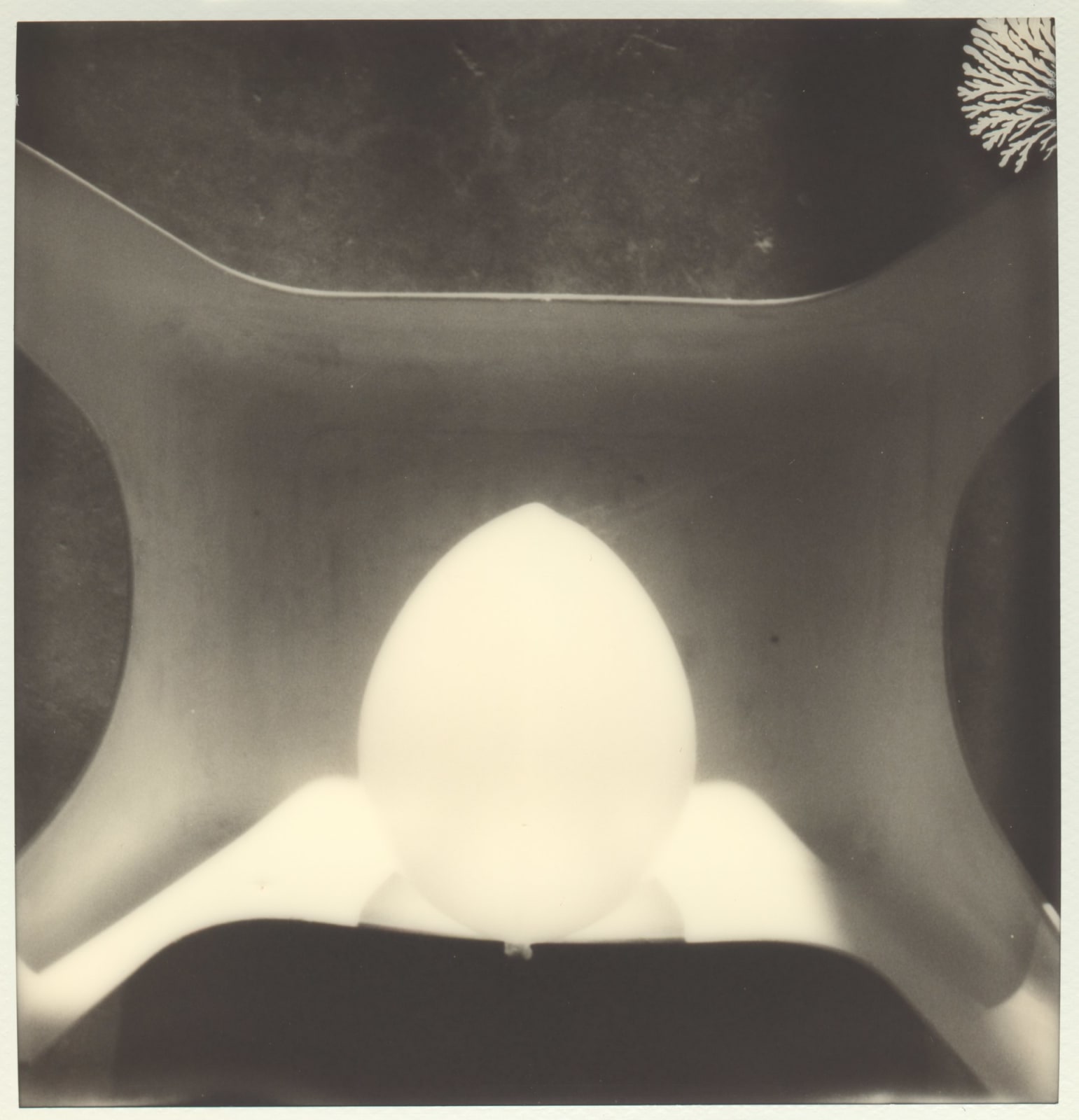 B. INGRID OLSON, I was then a we, can it be that I am the subject, an actor, common plural fixed for a camera to which these rooms are now fit Ferocious battle with repetition, of others, the crumbs and dust, gathering ashes, adhesion of eggs, finally things in place for a moment Senses Visibly, but maybe half-life represented by the vast room means sitting in it not being in it because who could remove such a room from self From each end ends, plot, second language, treads herself an extenuating time luxuriating time infascinating time they watch her tread on, full forward and going nowhere very remarkable Do we need to open and shut the window when it is transparent from the start Or a special organ for what trickles through the hourglass?, 2021-2023