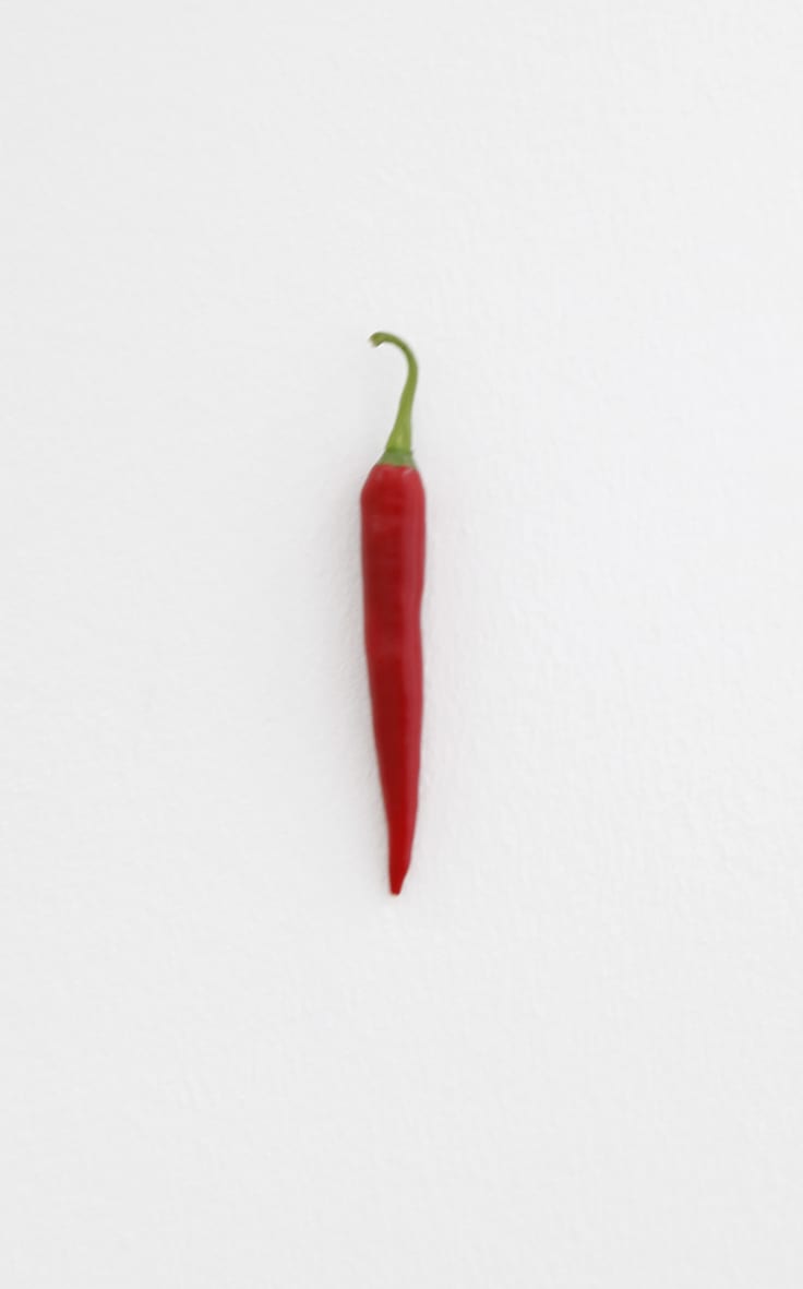 KARIN SANDER, Chili pepper (Kitchen Pieces), 2011 / 2016