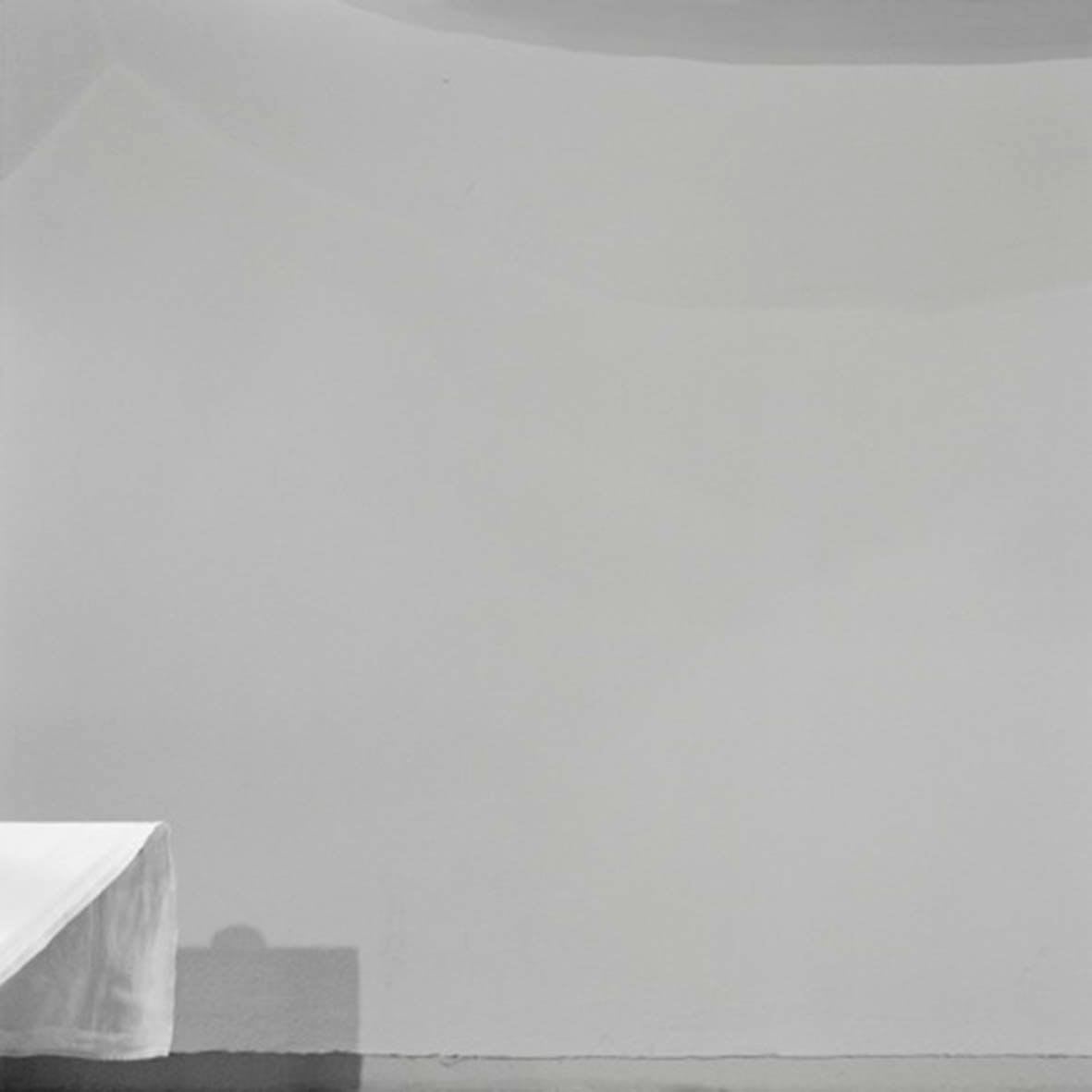 Friederike Von Rauch, Transept 9, 2010