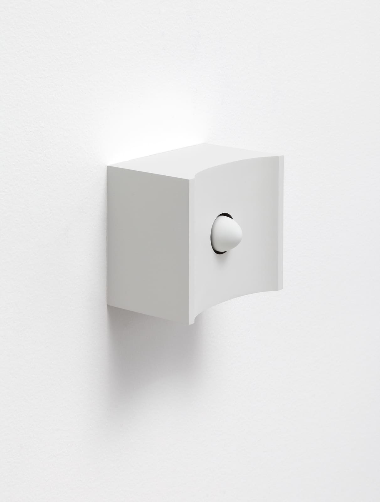 B. INGRID OLSON, Projection, corona, 2019