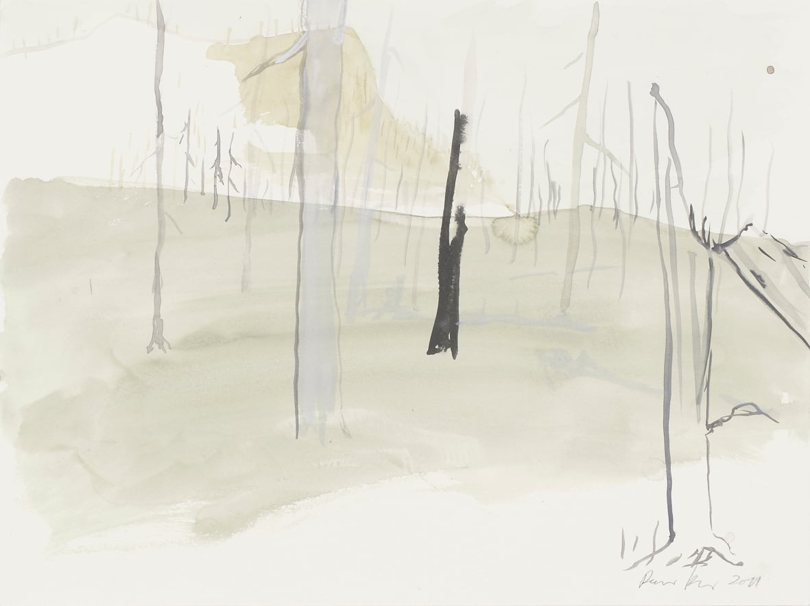 RAGNAR KJARTANSSON, Af lendum heimshryggðarinnar í Bresku Kólumbíu / From the Valley of World-Weariness in British Columbia (VII), 2011