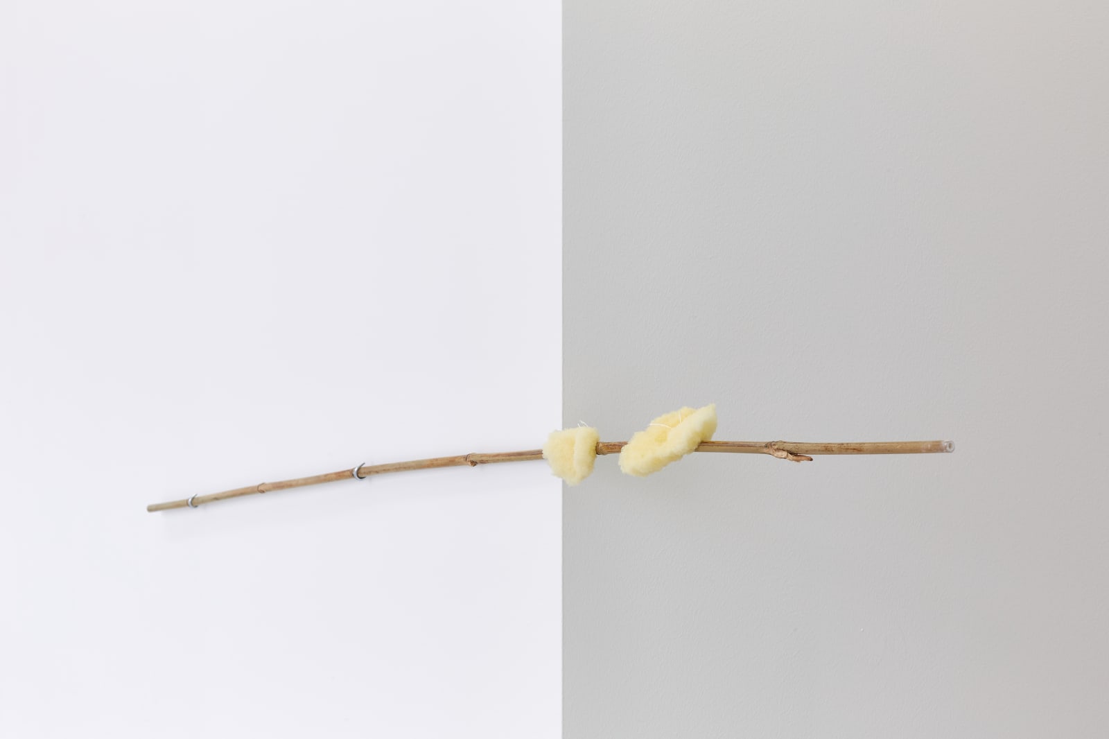 MARGRÉT H. BLÖNDAL, Untitled, 2020