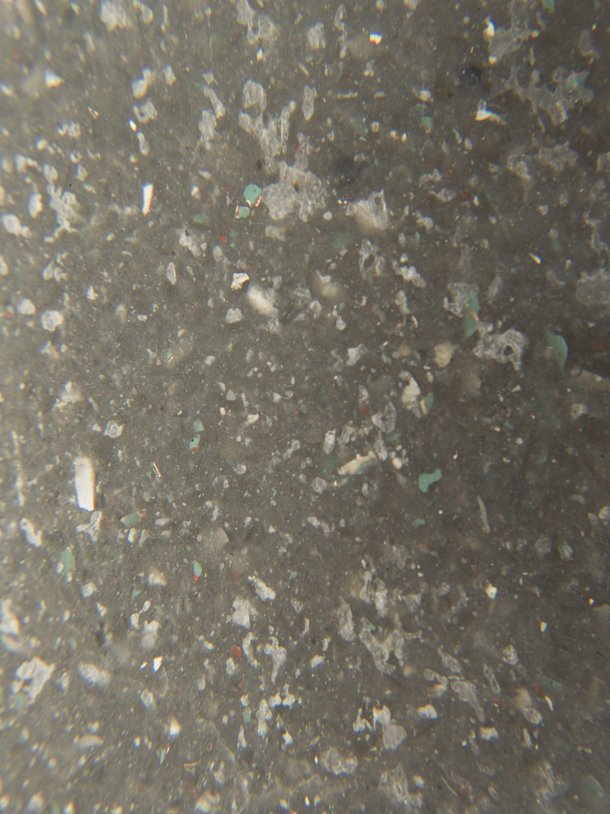 ALICJA KWADE, Spiegel, 2017