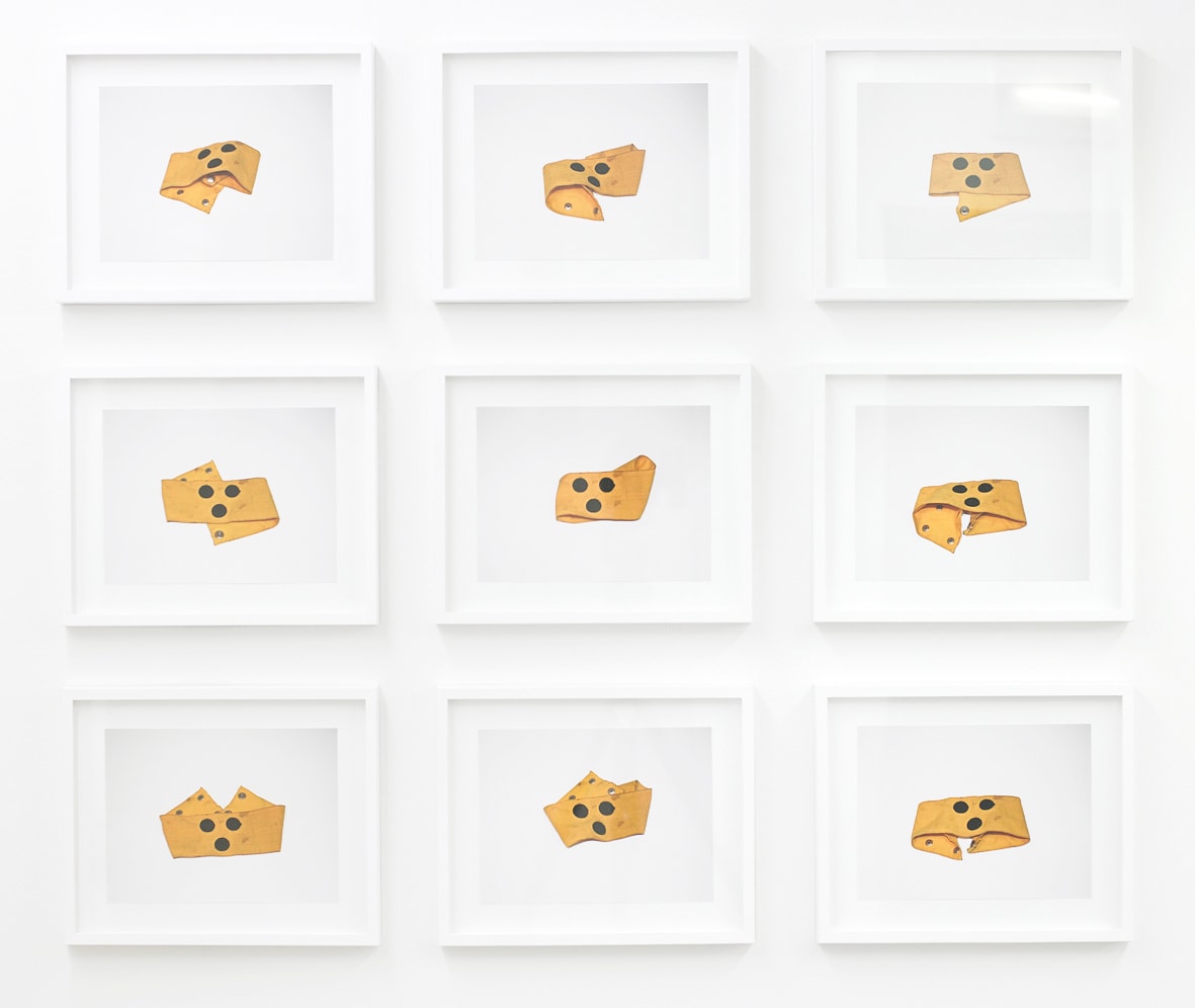 BIRGIR ANDRÉSSON, Self Portrait as a Seeing Eye Dog, 2007