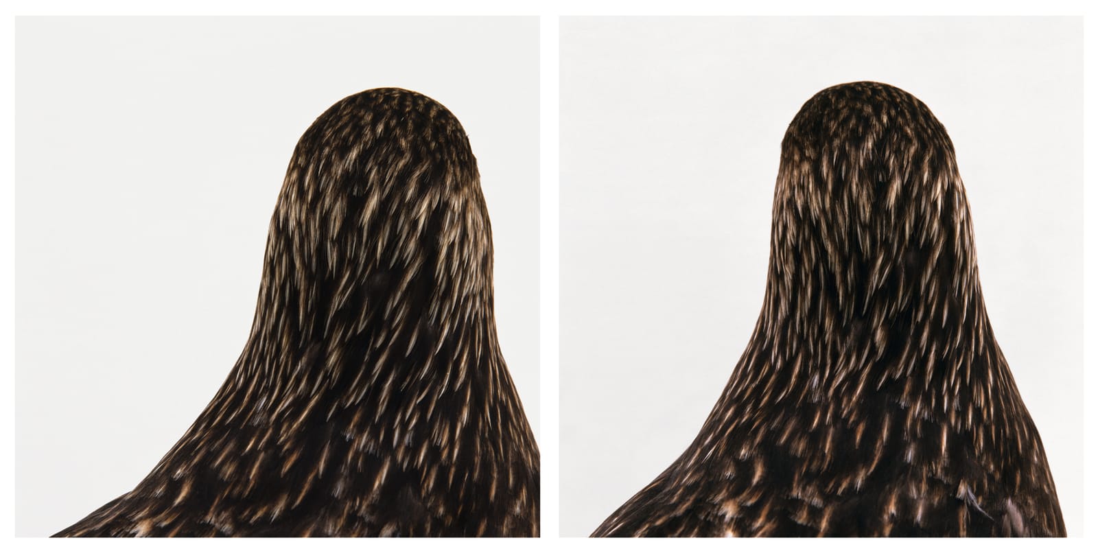 RONI HORN, Untitled # 5, 1998