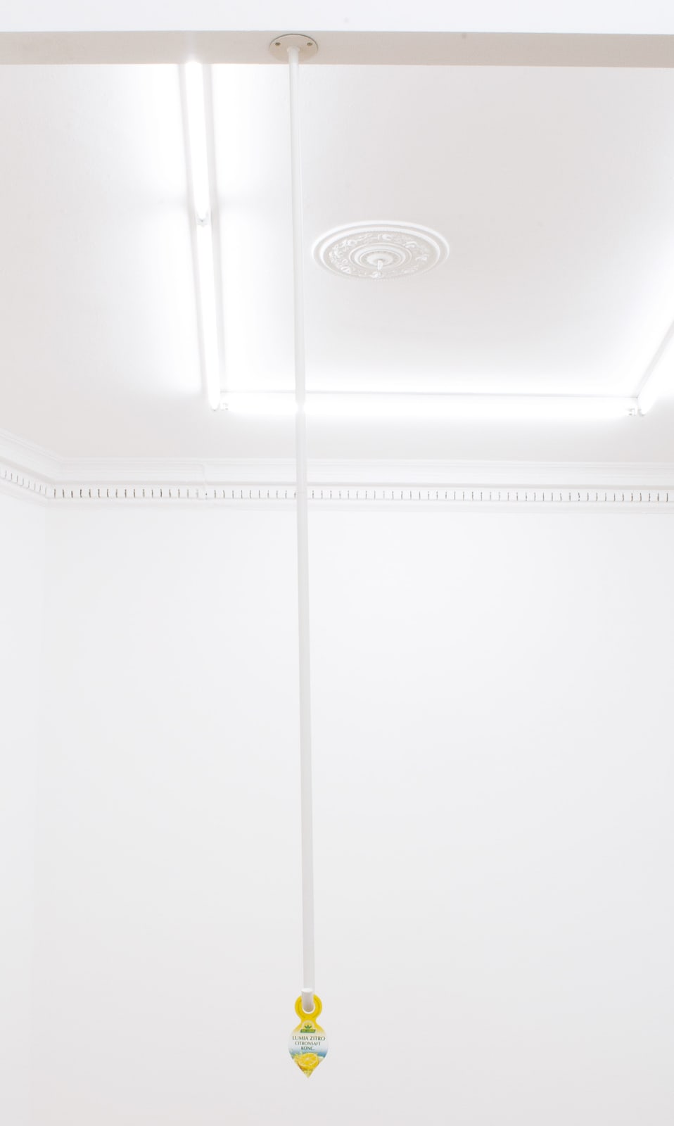 HILDIGUNNUR BIRGISDÓTTIR, Sítrónusafi / Lemon Juice, 2015