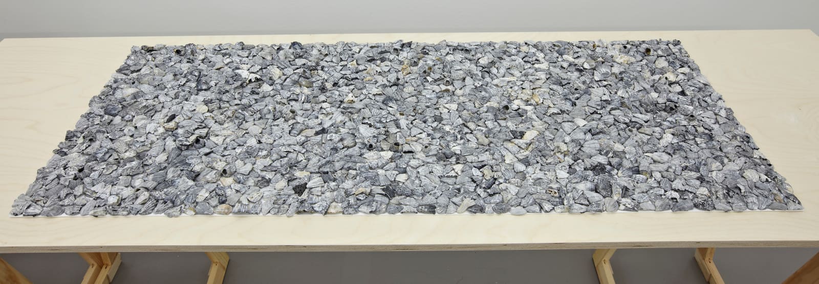 RAGNA RÓBERTSDÓTTIR, Shellscape, 2013
