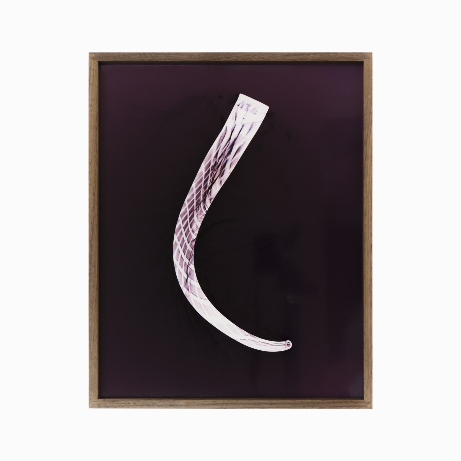 Kelly Akashi, Image of a Thing, 2018