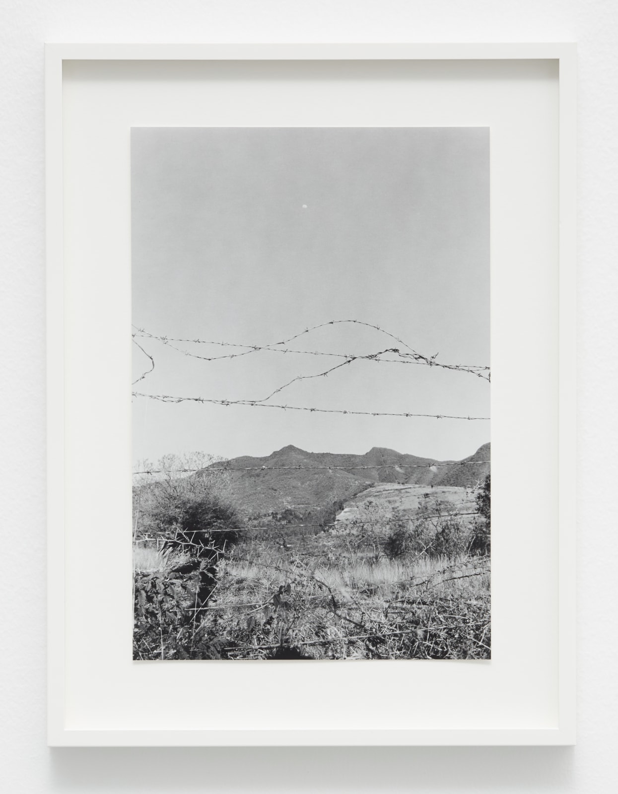 ORRI, Oaxaca 2016, 2018